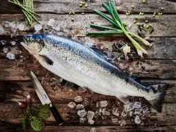 Frisk hel laks p&aring; is omgivet af for&aring;rsl&oslash;g, radiser, edamame og japansk kniv p&aring; rustikt tr&aelig;bord.